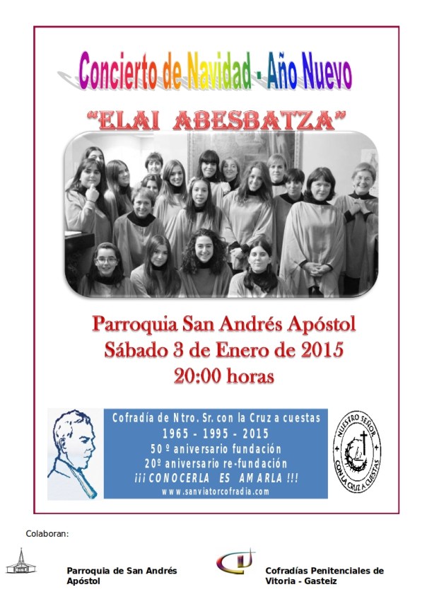 Cartel Concierto 03-01-2015 (2)